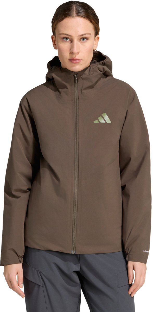 Adidas Terrex Terrex Multi Essentials Climaproof Geïsoleerd Capuchonjack Dames Groen