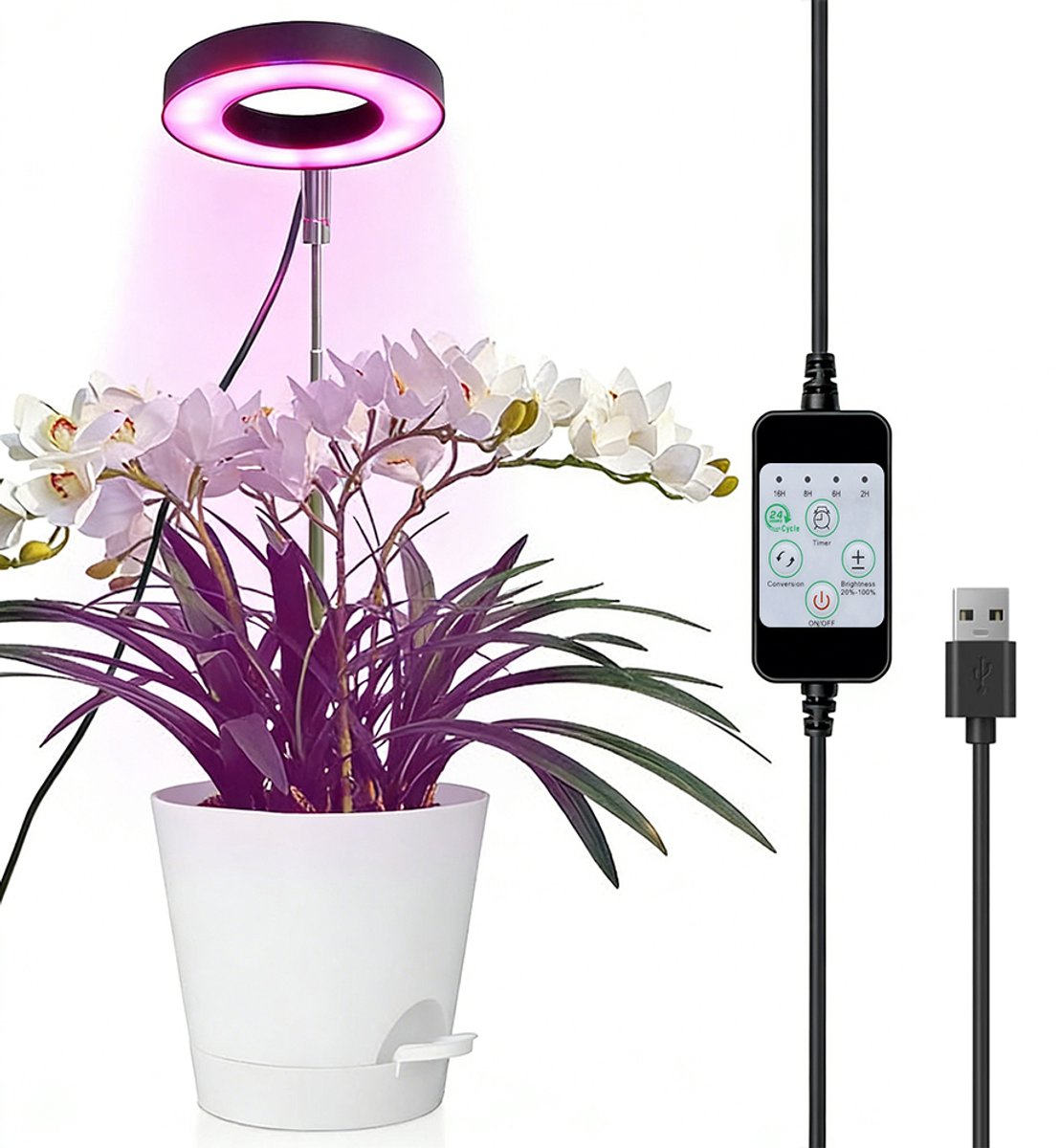 Plant Groeilamp LED – Volledig Spectrum Plantenlamp met Timer & Dimbaar – USB Groeilicht voor Kamerplanten, Orchideeën & Binnenplanten