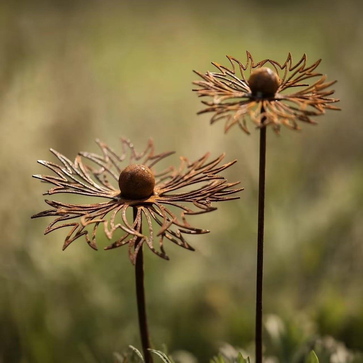 Roestdecoratie Tuinsteker - Metalen Bloemen - Tuin Aankleden - Cortenstaal Weerbestendig - 60 cm x 15 cm - Natuurroest