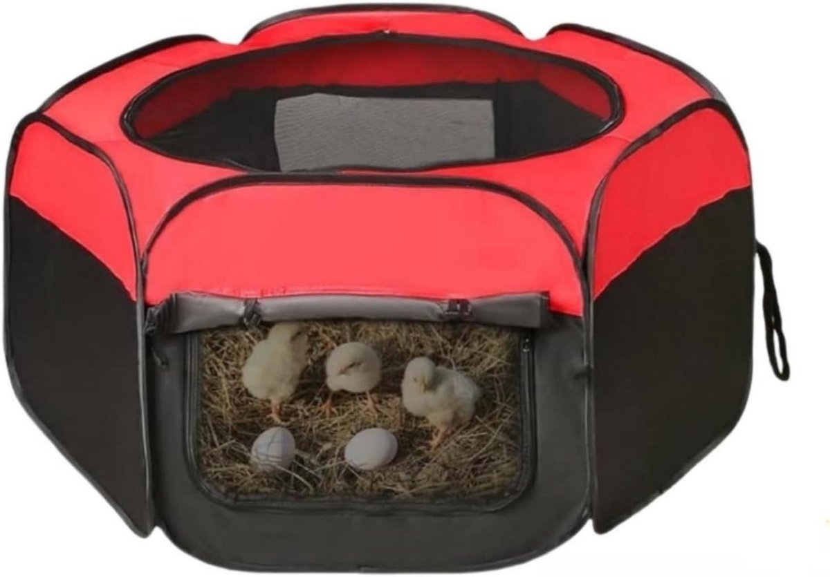 Upgrade Dubbele Deur Broederdoos Starter Kit voor Kippen, Eenden en Kwartels - Geschikt voor Tot 15 Kuikens, Dierenbenodigdheden en Kweekaccessoires