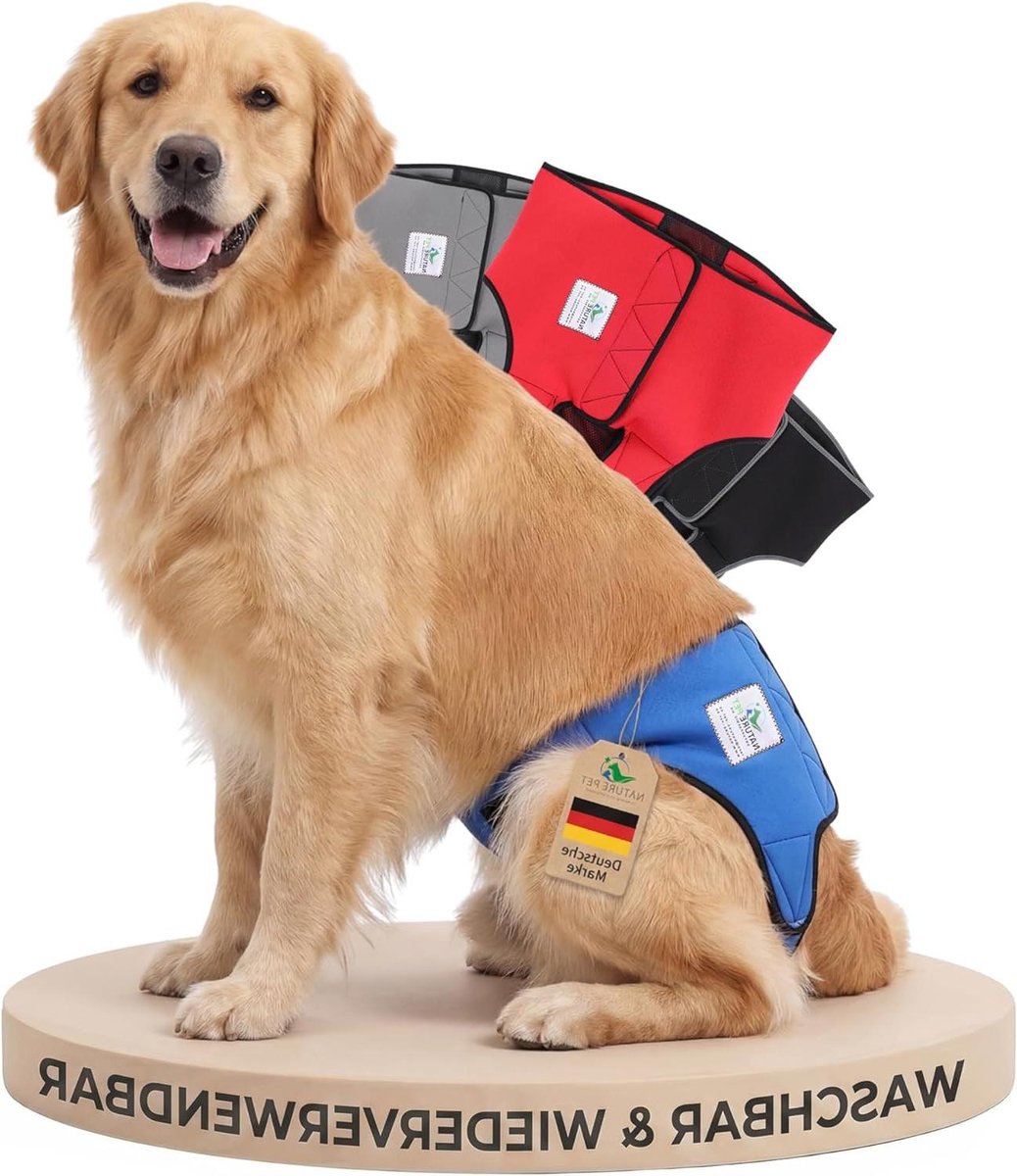Honden Zindelijkheidsbroek - Loopbroek Hond - Hygiënisch Houden - Neopreen Materiaal - Maat S - Blauw