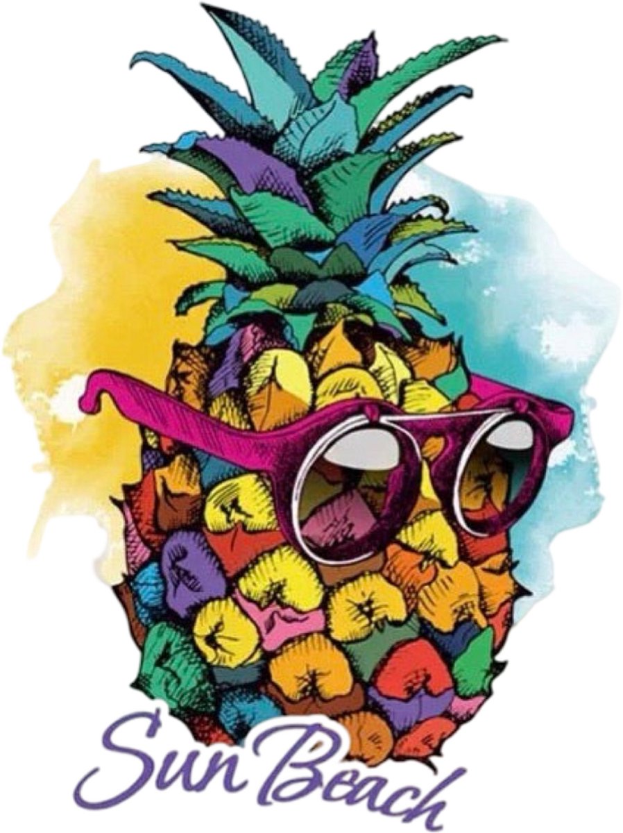 Ananas Sun Beach Tekst Strijk Applicatie 8.4 cm / 13.3 cm / Multicolor