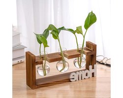 Hydroponische Glazen Vazen met Houten Houder - Mini Terrarium en Propagatiestation voor Planten - Vintage Glazen Testbuizen voor Thuis en Kantoor Decoratie