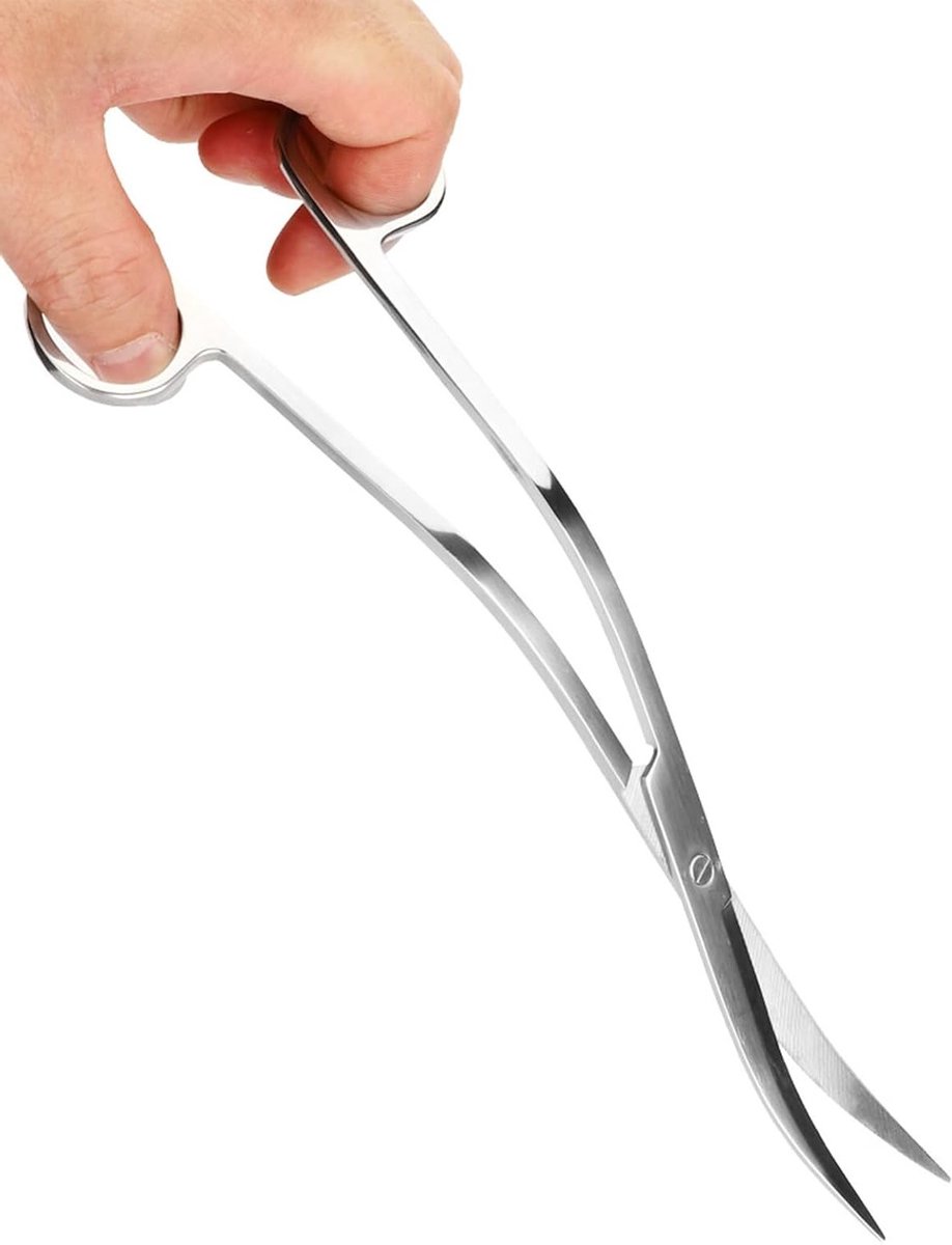 Roestvrijstalen Gebogen Scharen voor Aquariums, 25 cm, Ideaal voor Aquascaping en Plantenverzorging, Professionele Aquarium Tools