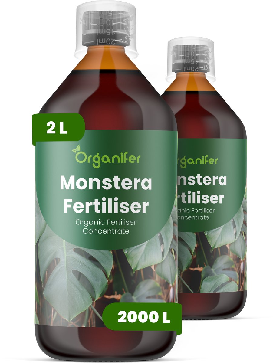 Vloeibare Meststof Voor Monstera 2X1 L Voor 2000 L - Npk 3-4-3 - Ondersteunt Krachtige Tropische Groei Bij Alle Monstera - Versterkt Het Wortelstelsel En Ondersteunt De Vitaliteit Van Luchtwortels - Ondersteunt Langdurige Gezondheid - Organifer
