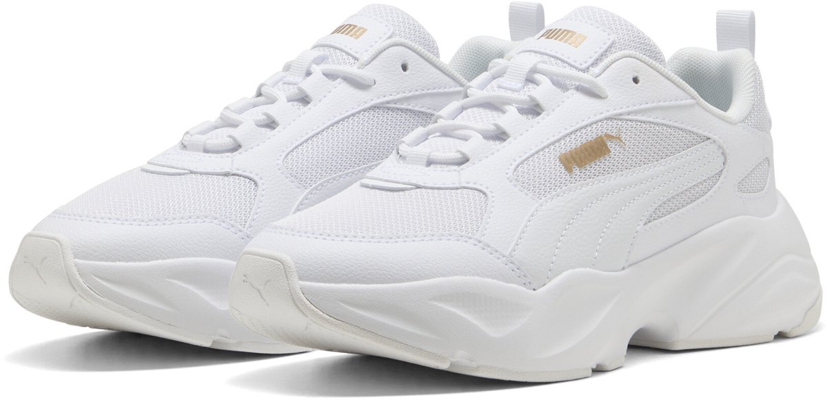 CASSIA 20 Goud