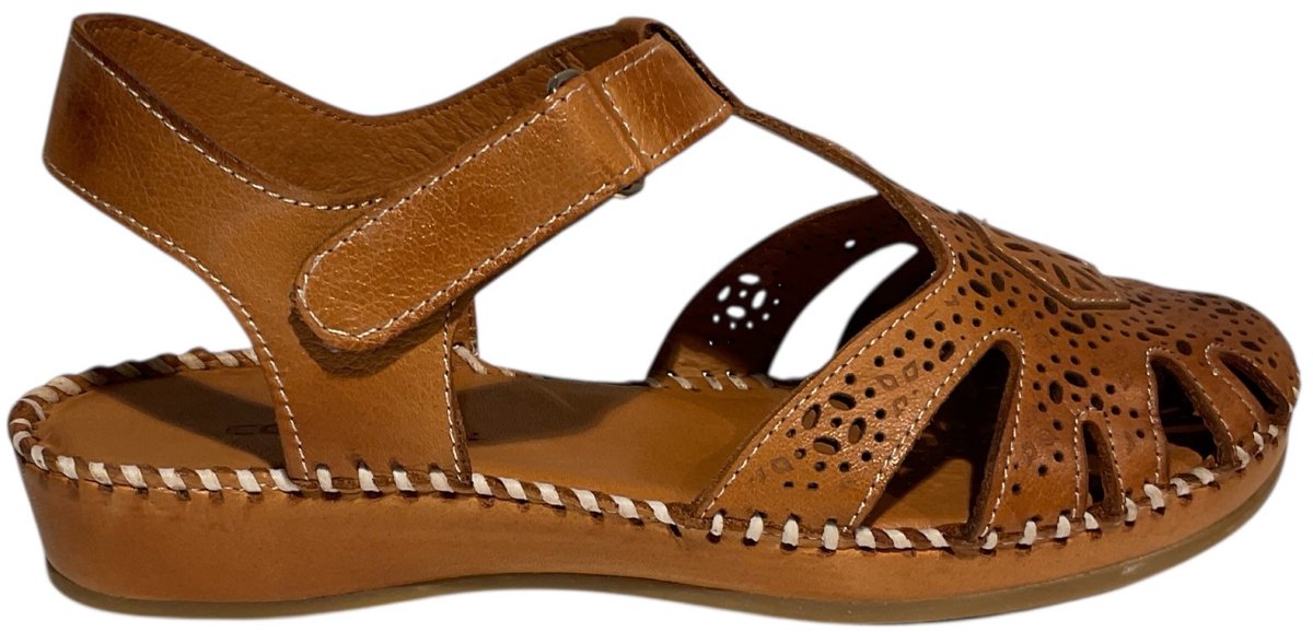 Cosmos 6345802-307 Cognac