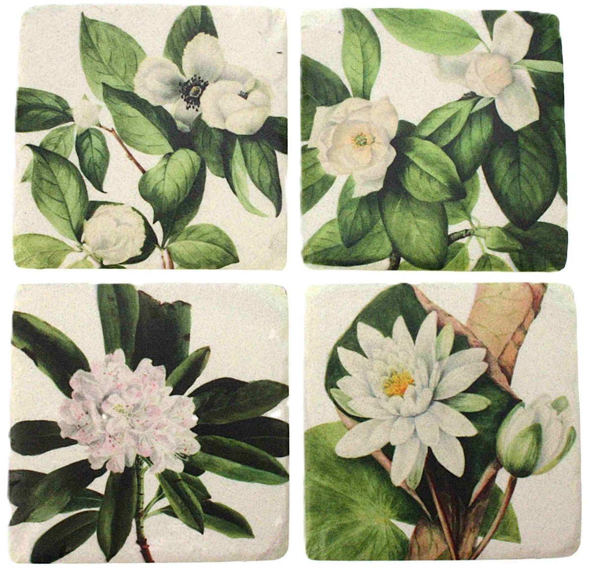 Onderzetters Waterlelies wit, s/4 10x1x10cm