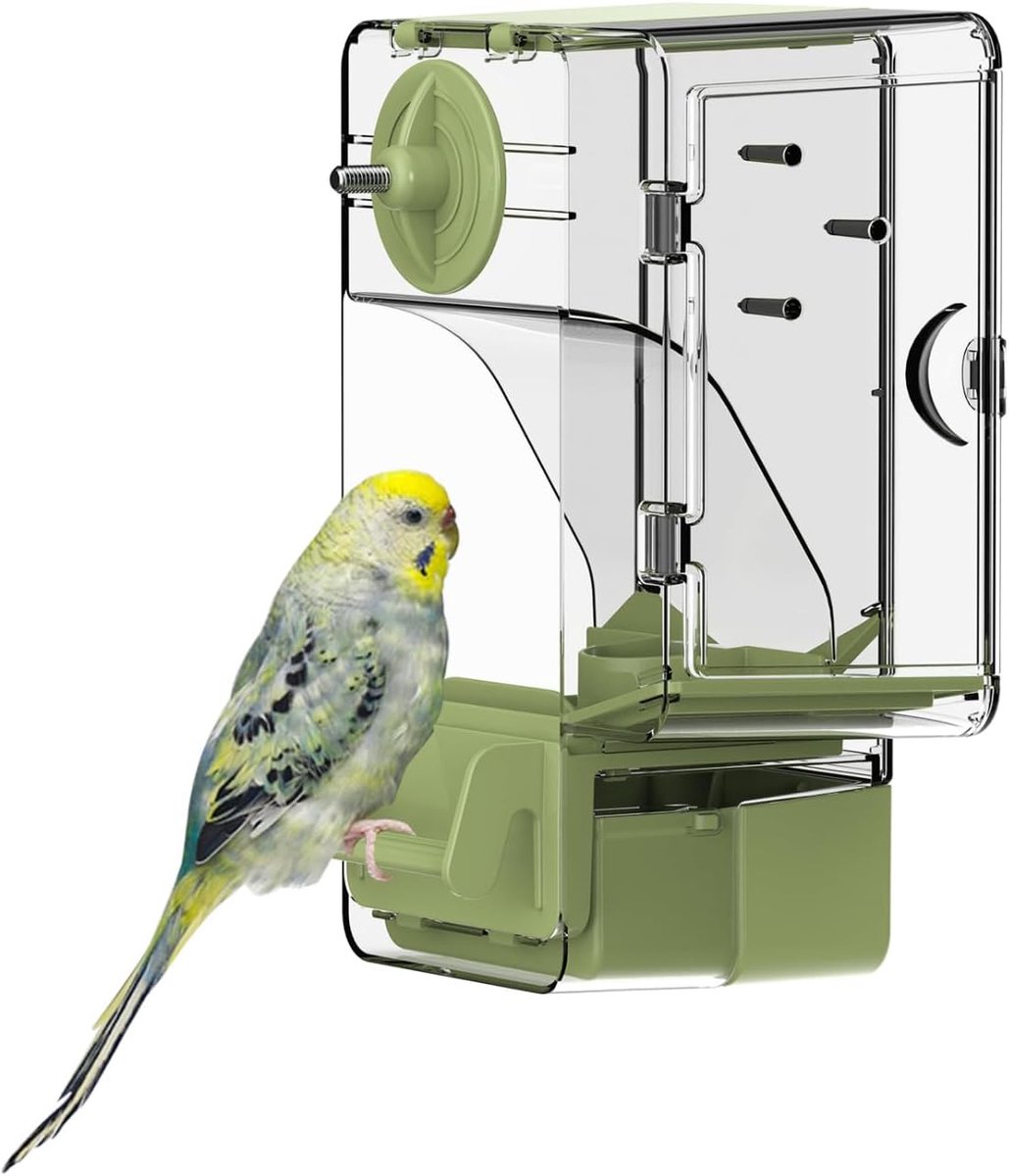 longziming - Automatische vogelvoederbak - Multifunctionele Fruit En Groente Houder Voor Vogelkooi - Voor Parkieten, Kanaries En Vinken - Groen