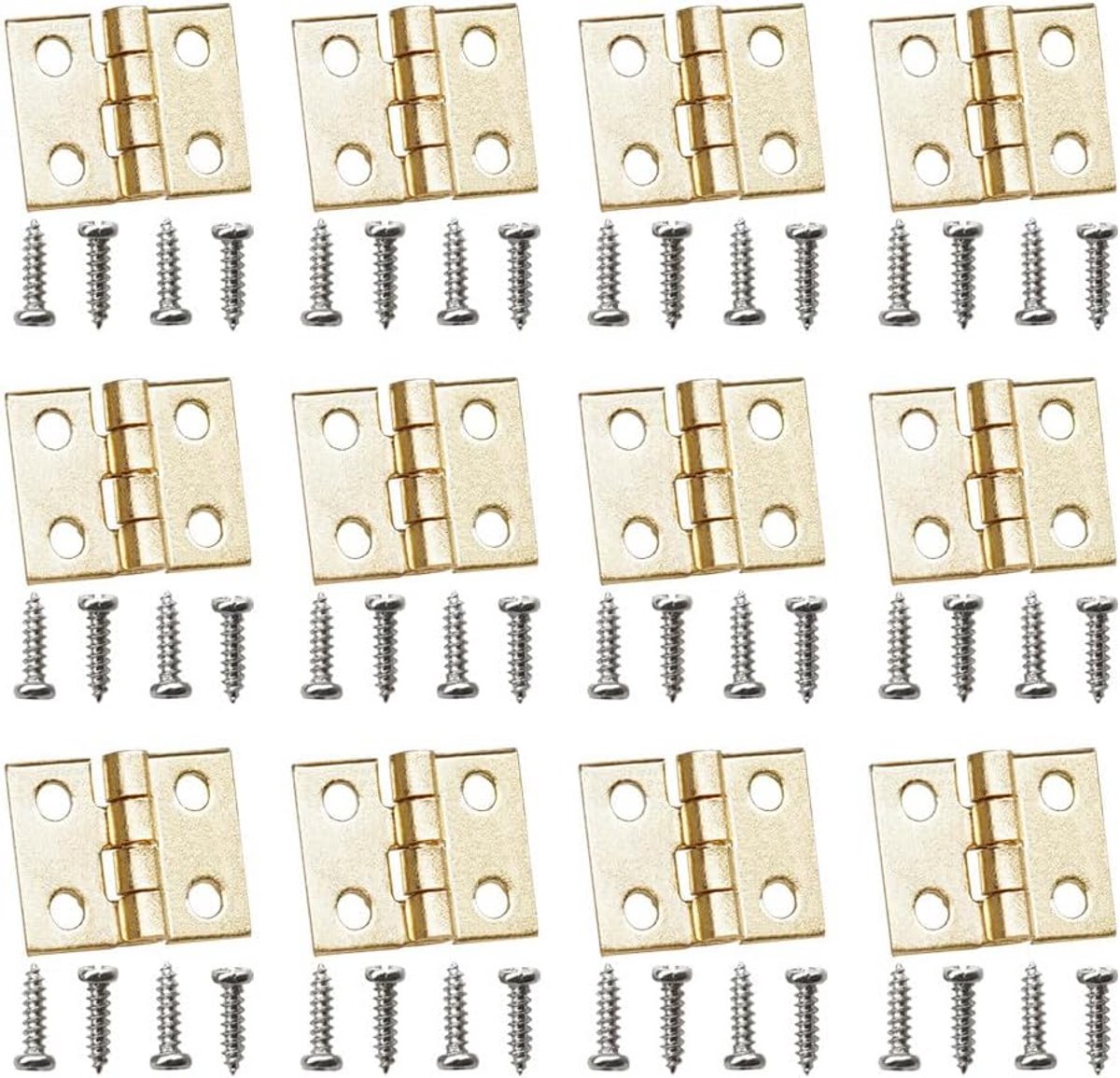 Odoria 1/12 Scale Miniature Hinge 12 Pieces and Screw 48 Pieces Dollhouse Accessories