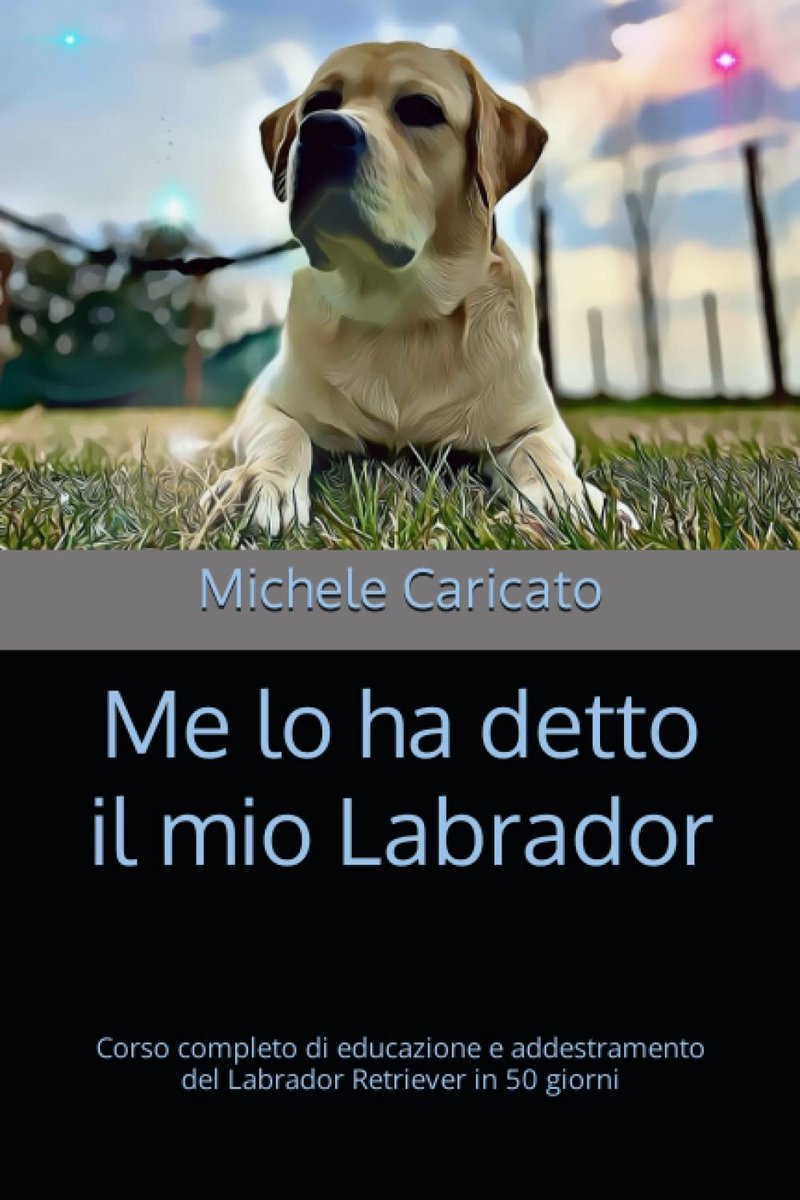 Labrador Retriever Opvoeding en Training: Complete Gids in 50 Dagen