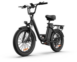 Qekud E20 Elektrische Fiets – 250W - 20 inch Fatbike - 48V 13Ah Accu – 7 versnellingen – Zwart