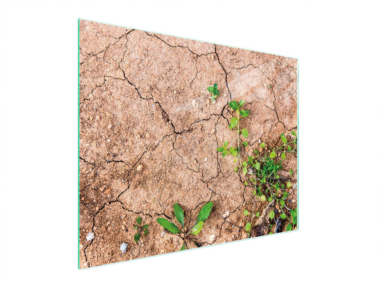TMK ArtDeko Serie - Glazen Snijplank - 52x40 cm - Veelkleurig - Hittebestendig - Antibacterieel