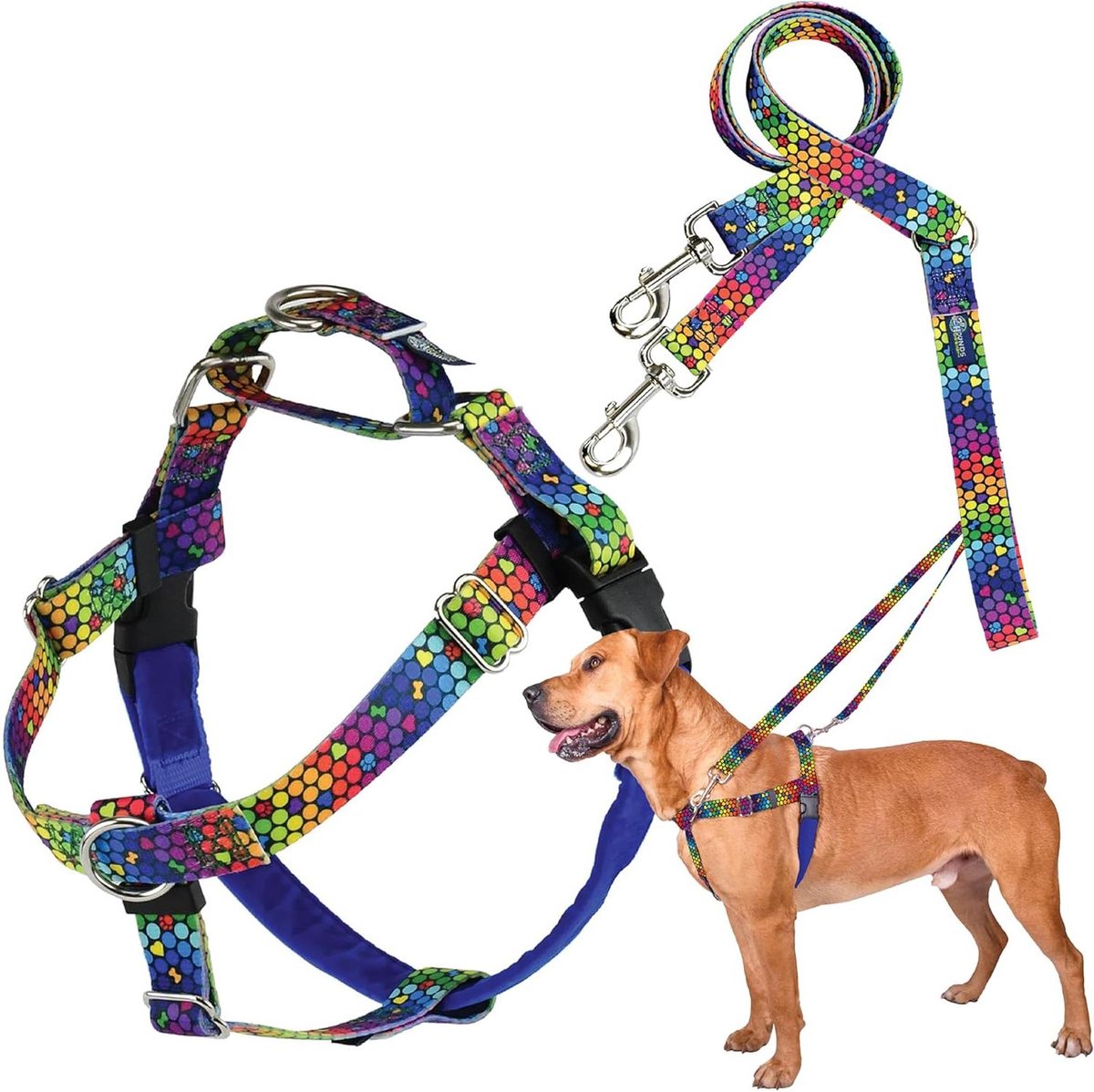 Anti-trekharnas Hond - Honden tuigje - Comfortabel wandelen - Dubbele riemlussen - Maat M - Blauw regenboog