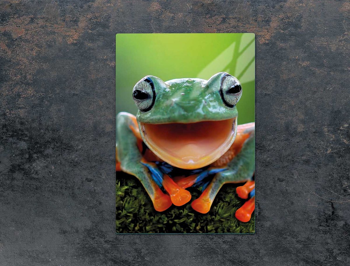 TMK ArtDeko - Snijplank - Glas - 35x52 cm - Motief: Kikker