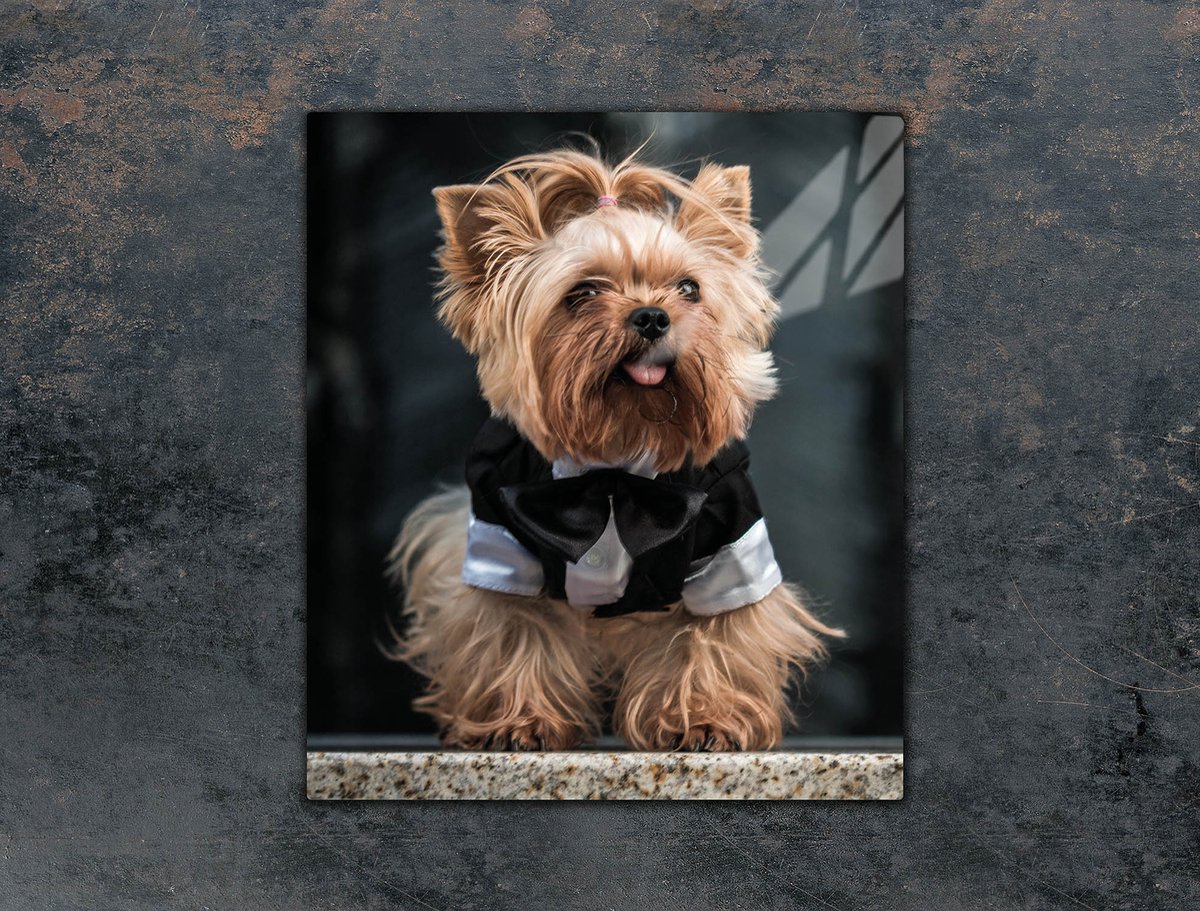 TMK ArtDeko Serie - Glazen Snijplank - 45x52 cm - Beschermpaneel - Motief Hond