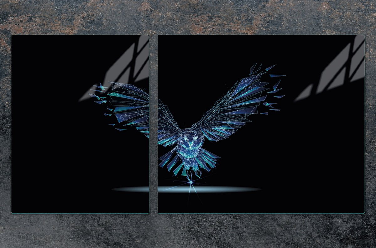 TMK ArtDeko - Snijplank en Beschermplaat - Glas - 100x52 cm - Vogelmotief