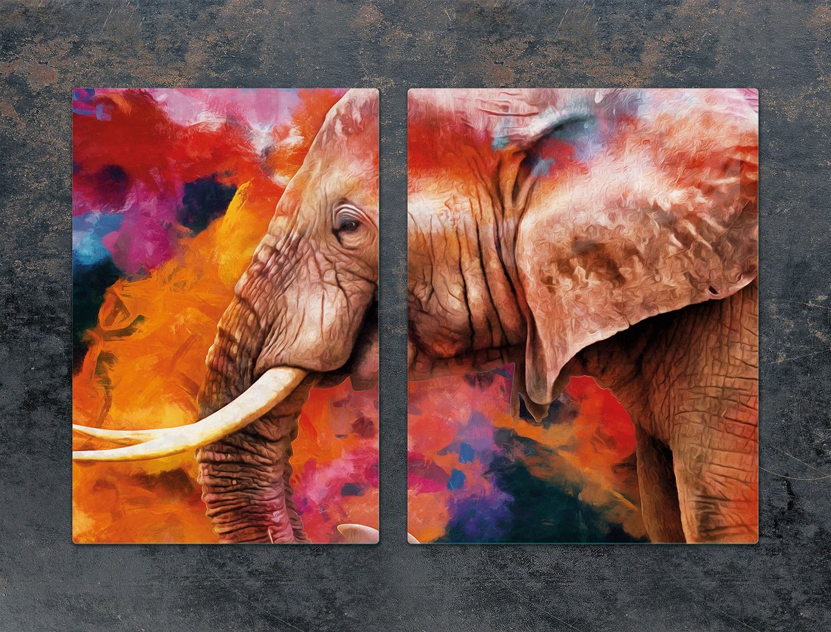 TMK ArtDeko - Beschermplaat G-75 Serie - Snijplank - 75x52 cm - Olifant Patroon