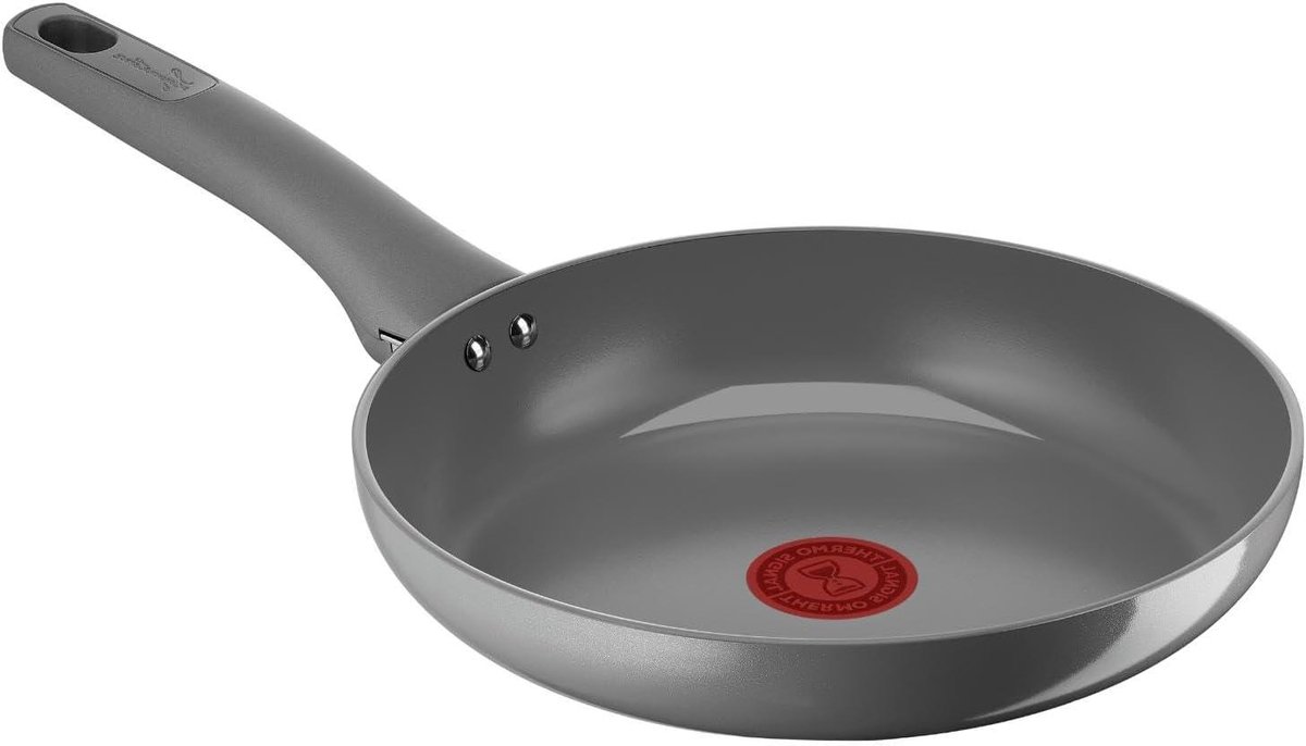 Koekenpan Keramiek - Koekenpan met antiaanbaklaag - Professioneel Koken - Thermo-signaal Technologie - 24 cm - Grijs