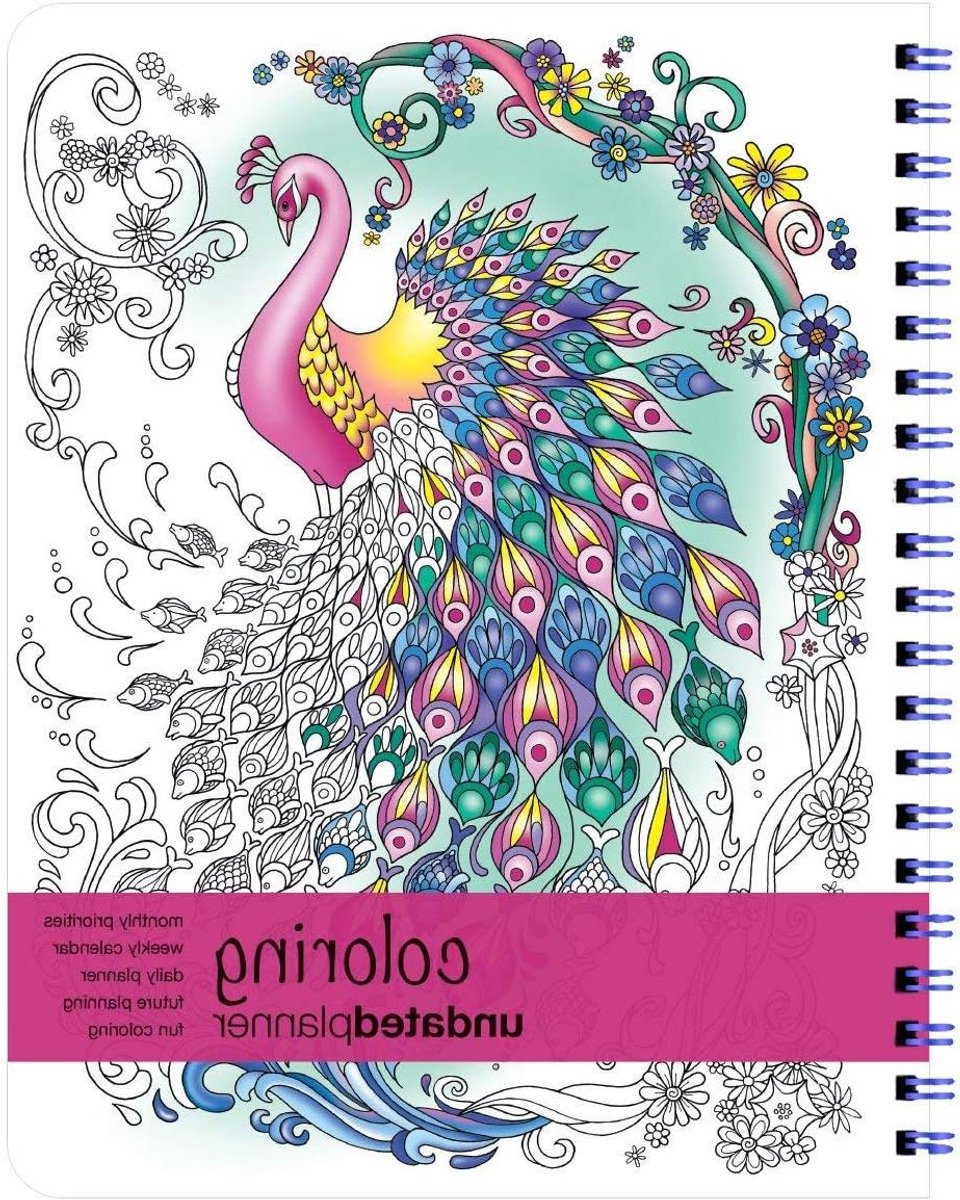Kleuren Dagplanner - Weekplanner Maandplanner - Dagelijkse Planning - Ongedateerd Ontwerp - 8.5 x 11 Inch - Gekleurd