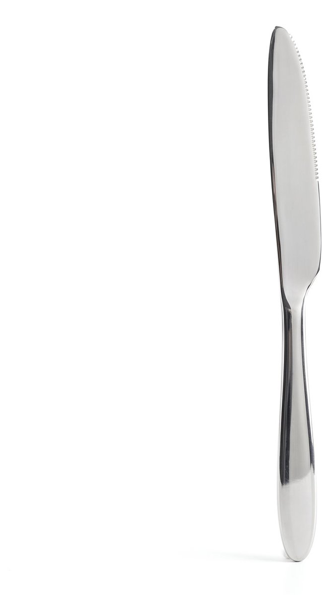RVS Messenset 4 Stuks – Roestvrijstalen Tafelmessen – Stainless Steel Bestek Set – Vaatwasserbestendig – Ergonomische Handgreep – Moderne Keukenmessen voor Dagelijks Gebruik [57572]