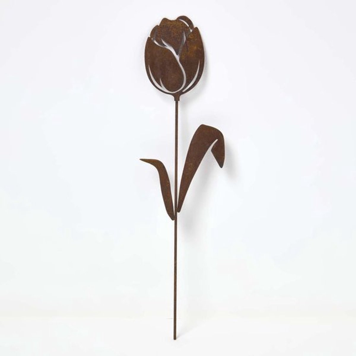 Cortenstalen tulp,tuinsteker