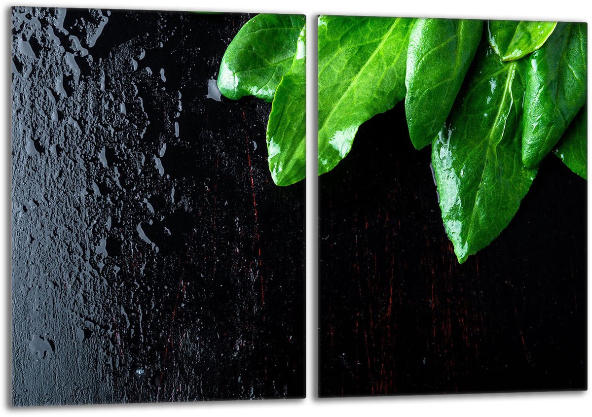 TMK ArtDeko - Glazen Beschermplaat - 40x52 cm - Basilicum - Veilig en Hygiënisch