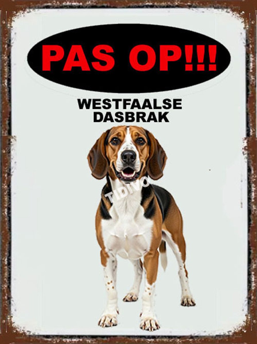 Westfaalse Dasbrak 17
