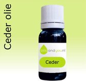 10 ml