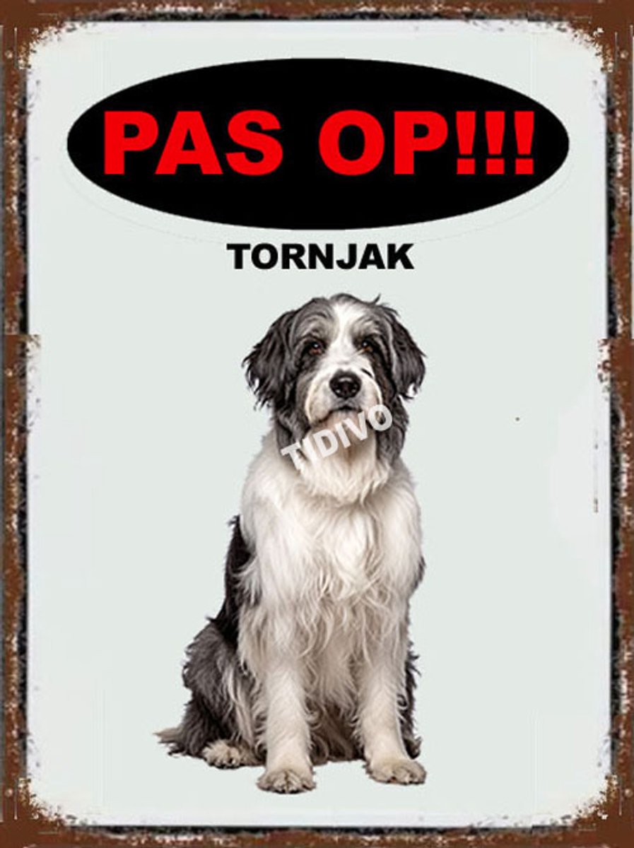 Tornjak 17