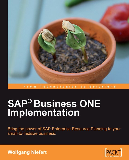 SAP Business ONE Implementation - cover