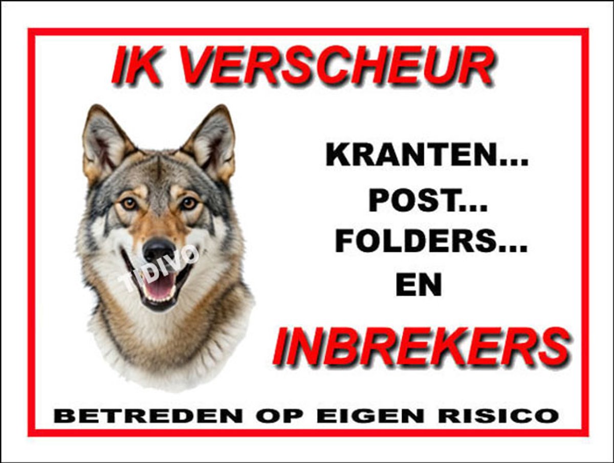 Tsjechoslowaakse Wolfhond 8