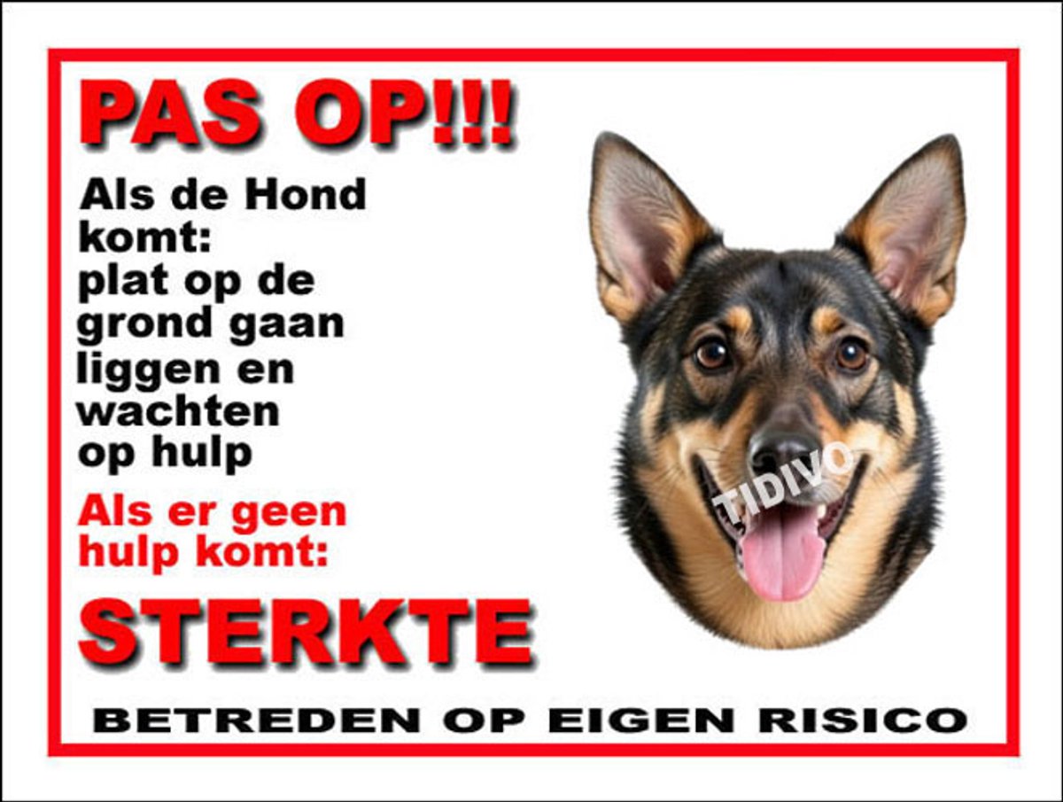 Västgötaspets 12