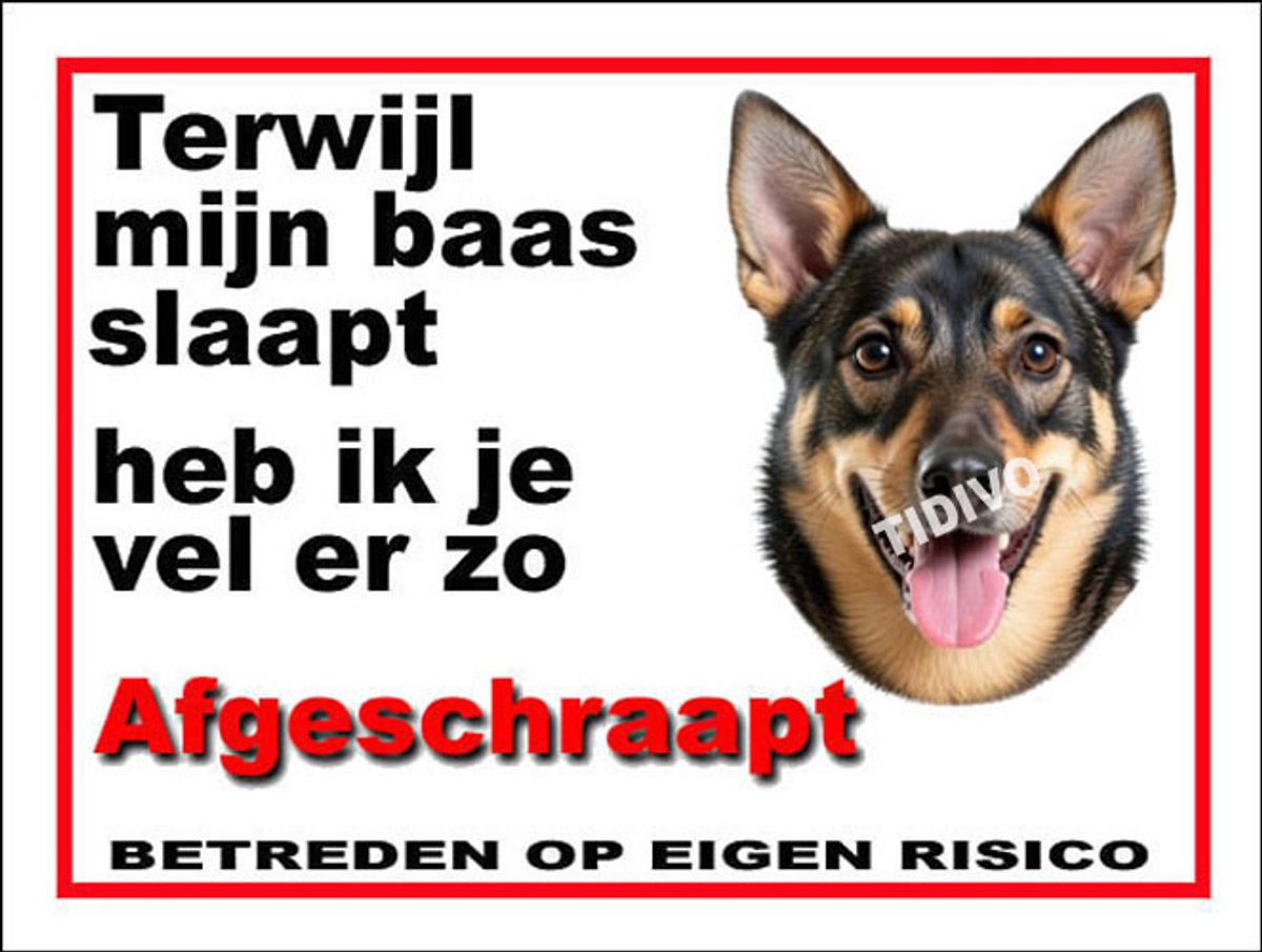 Västgötaspets 15