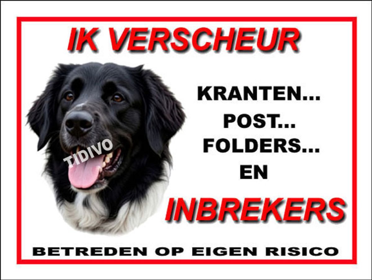 Stabijhound 8