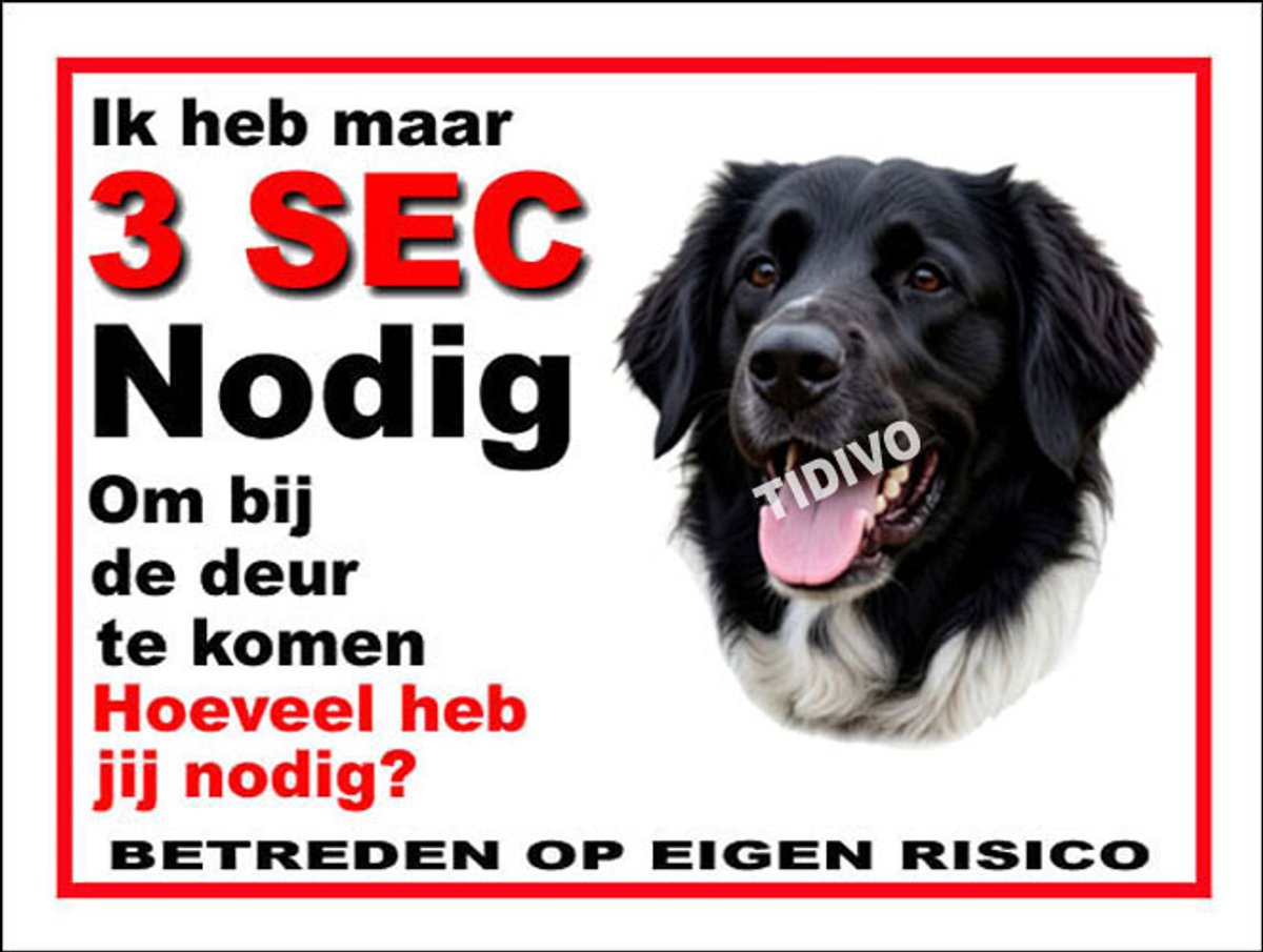 Stabijhound 6