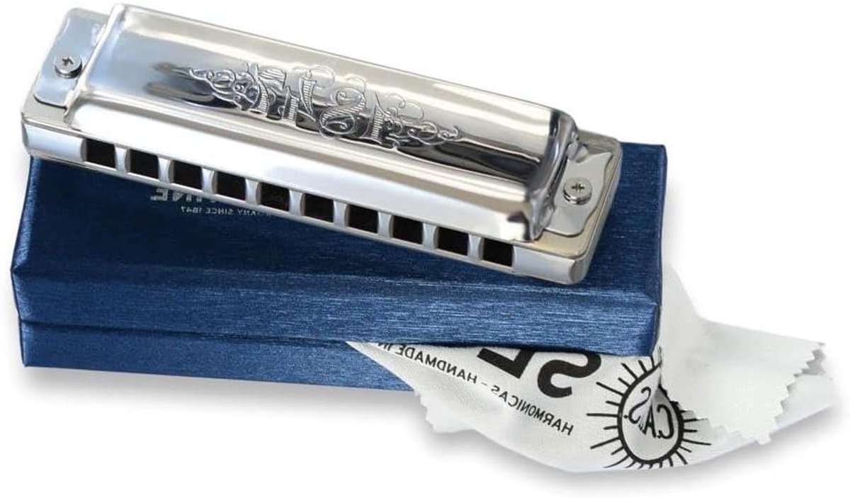 Blues Mondharmonica - Harmonica D - Muziek Maken - 20 Stemtongen - 10 cm - Zilver