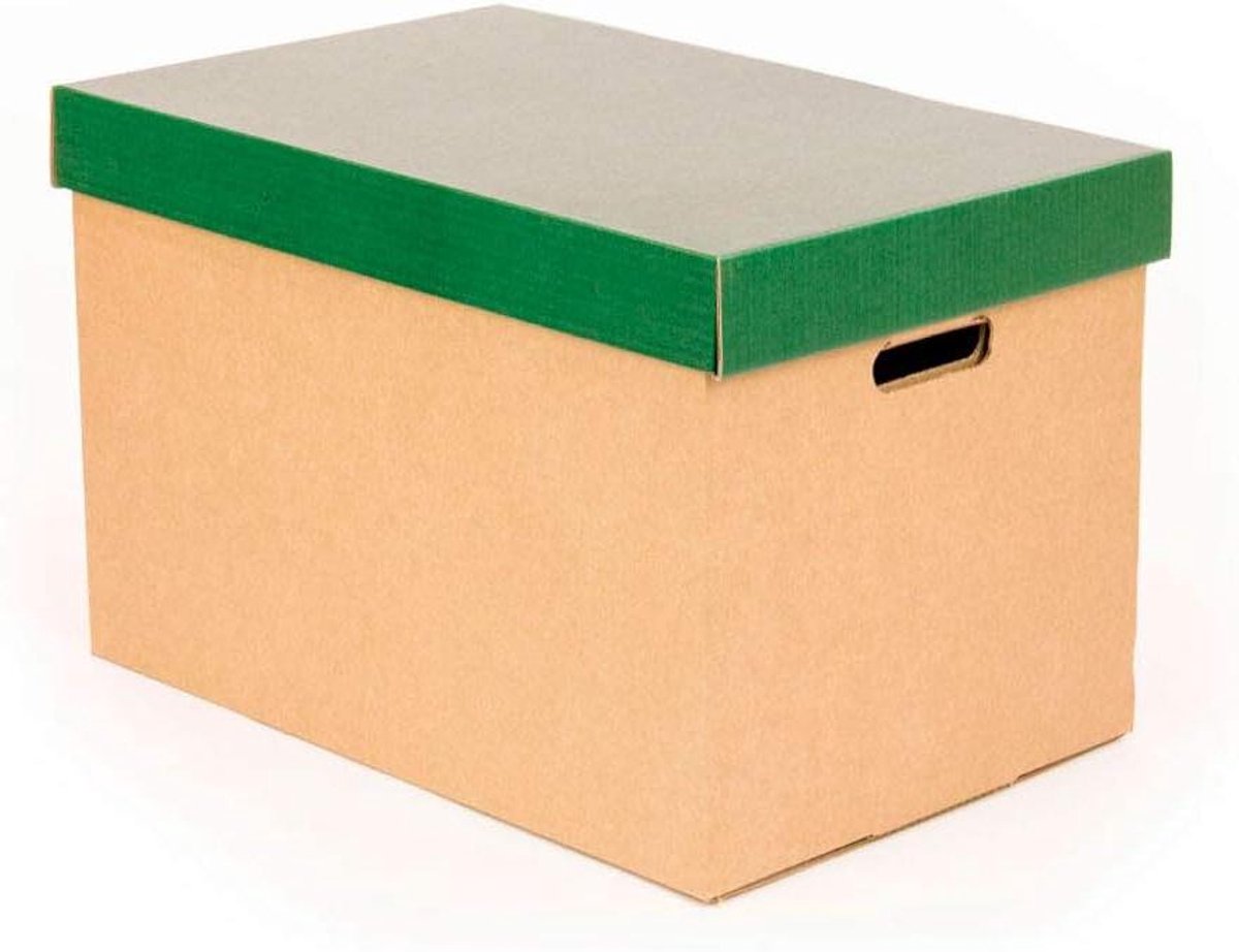 Opbergdozen met deksel - Verhuisdozen Kartonnen dozen - Ruimte Benutten - Stevig Kraftkarton - 532 x 331 x 325 cm