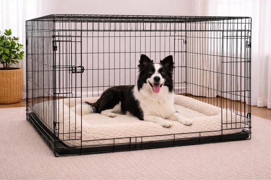 Bordercollie op een beige hondenmand in een zwarte bench.