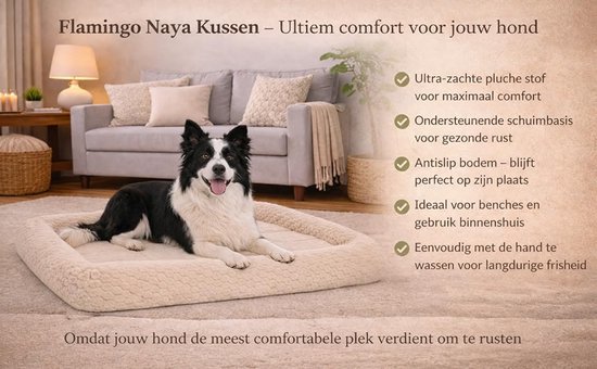 Border Collie ligt op een beige hondenkussen in een woonkamer.