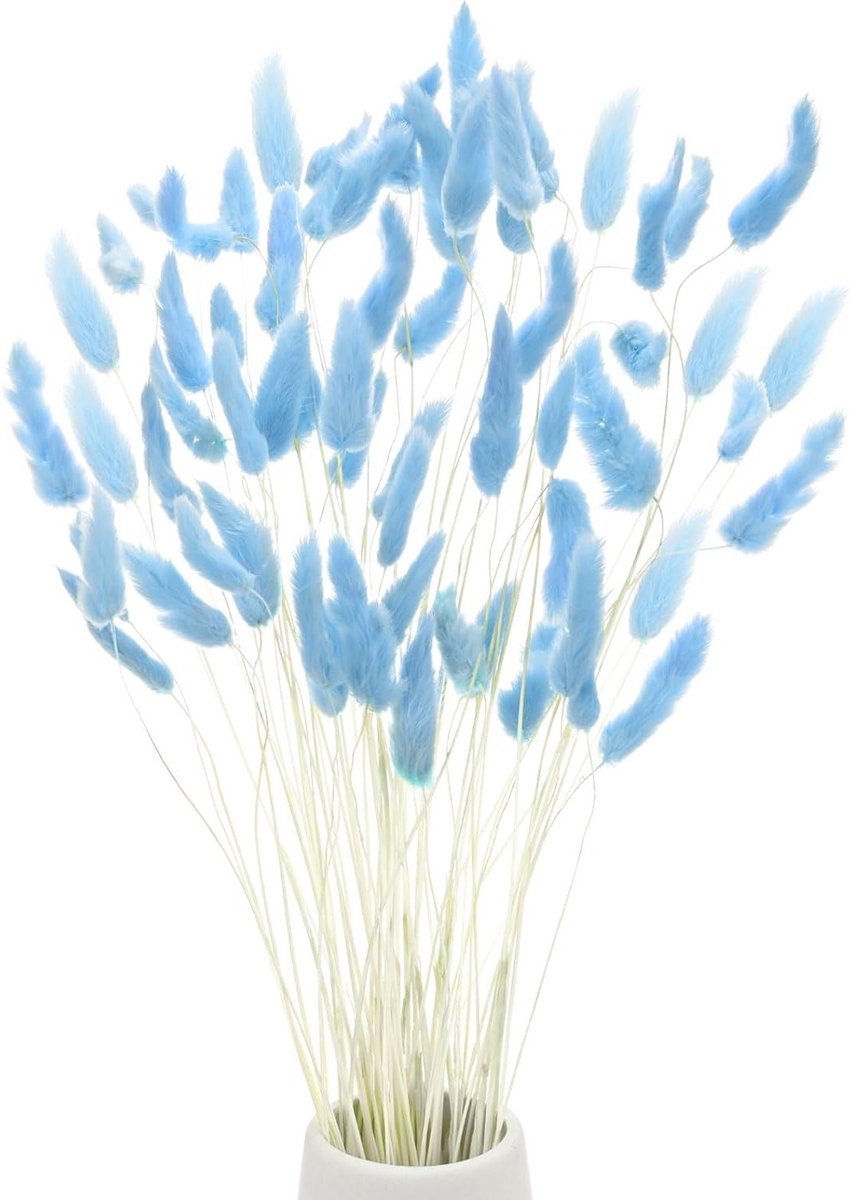 60 stuks konijnenstaartgras - 45 cm - pluizig - gedroogde bloemen - takken - vaasvuller - decoratie van gedroogd pampasgras voor huis - lichtblauw - bloemenarrangement