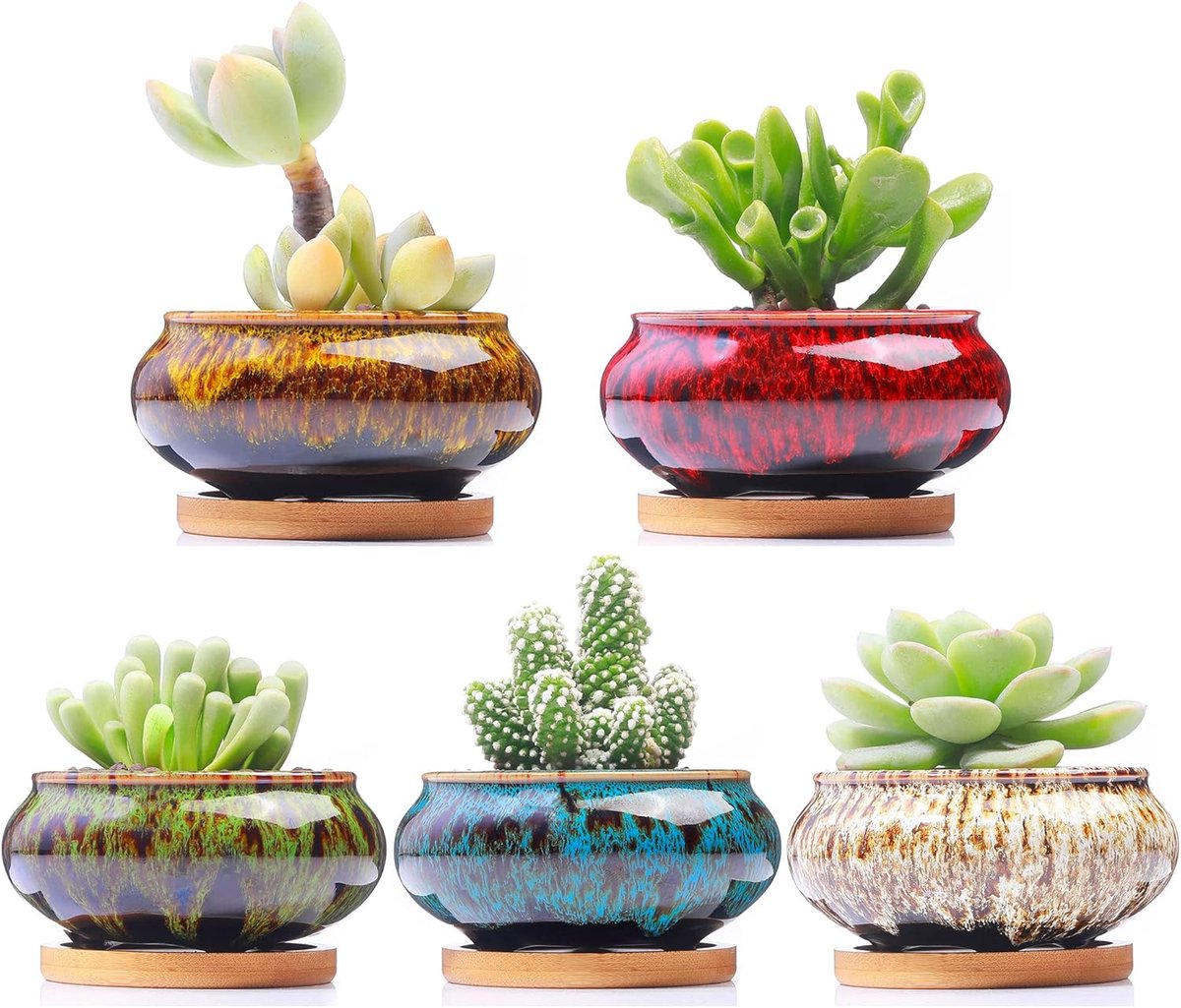 Bloempot - Bloempotten - Bloempot voor Buiten - Plantenpot - 5-Delige Schattige Keramische Succulenten Potten Met Afvoer en Onderzetter – Bloempotten Set Ø10cm Zonder Planten