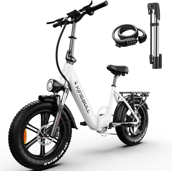 Elektrische Fatbike 20″ vankel Literider 2.0 – 48V 250W Bafang Motor, 90 km Actieradius, Hydraulische Schijfremmen, Koppelsensor