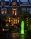Groene cactuslamp verlicht een tuinpad bij een huis.