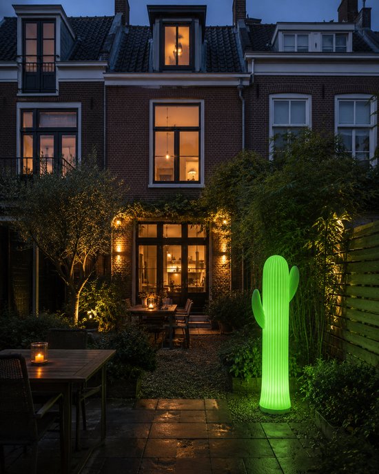Groene cactuslamp verlicht een tuinpad bij een huis.