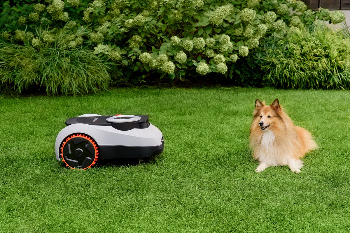 Navimow i208 Robotmaaier met AI Obstakelvermijding - afbeelding 3