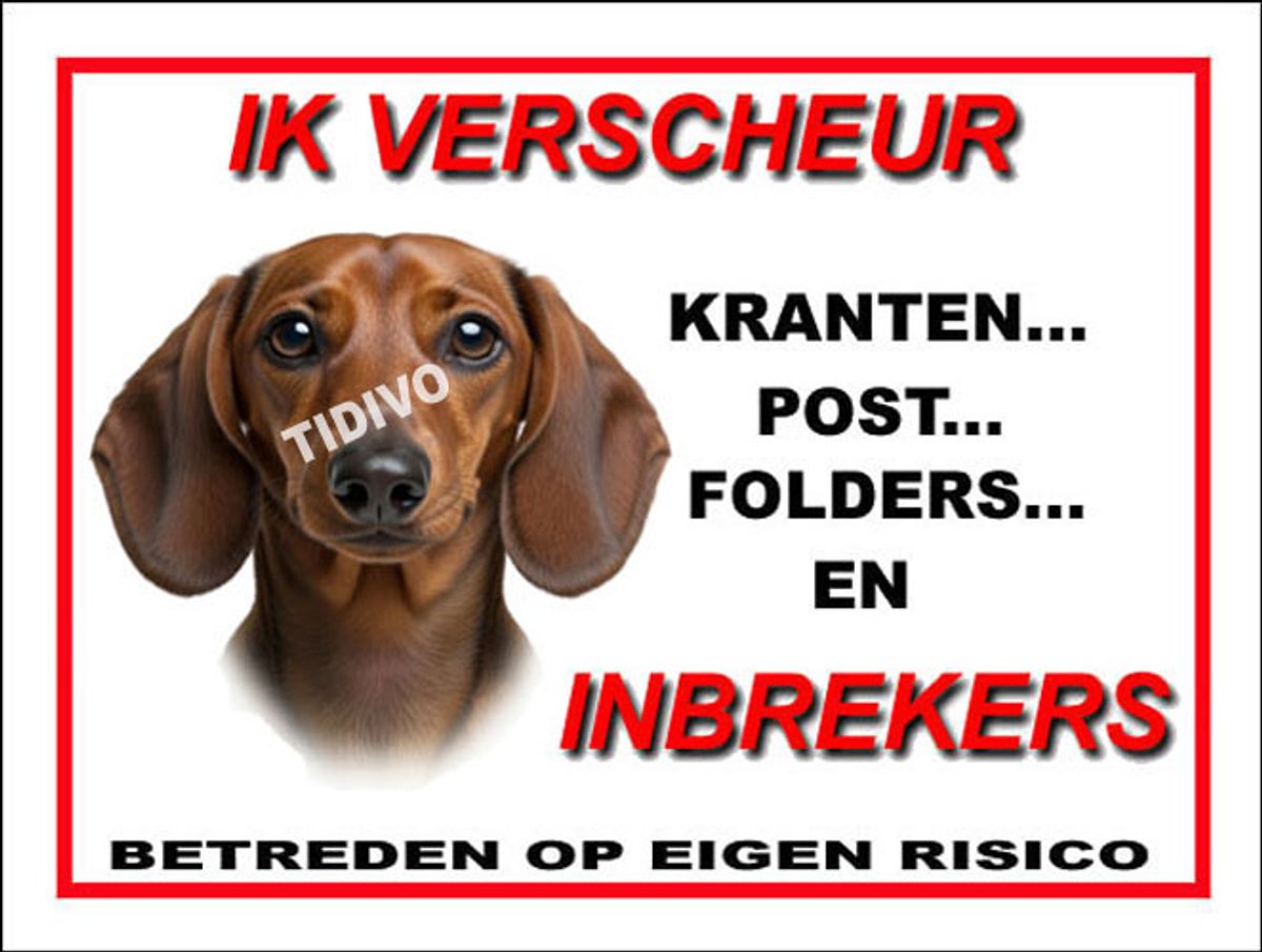 Dashond Dwerg, Korthaar 8