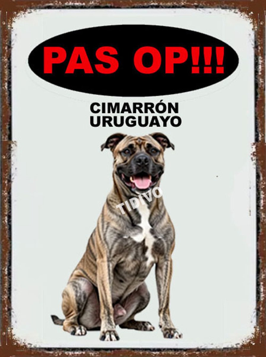 Cimarrón Uruguayo 17