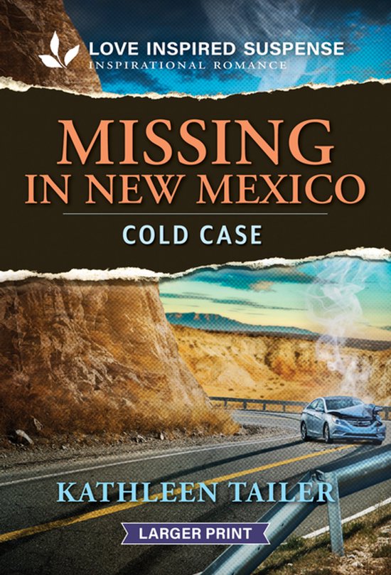 Missing in New Mexico - cover