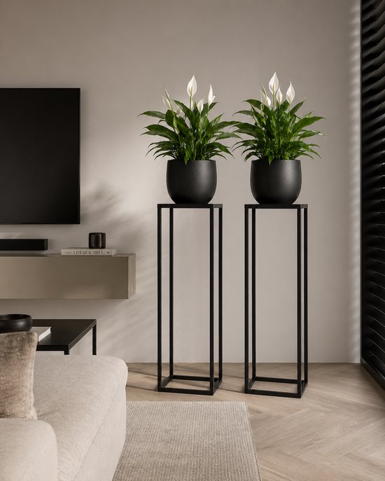 Twee zwarte, vierkante plantentafels met witte bloemenplanten, in een woonkamer.